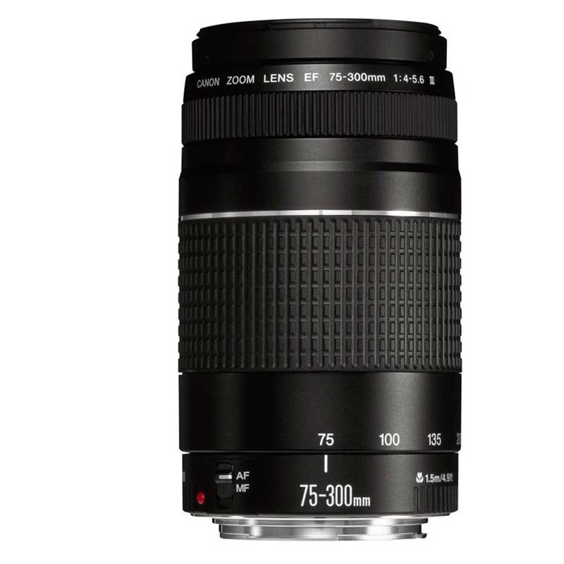 Canon EF 75-300mm/ 4,0-5,6/ III Objektiv