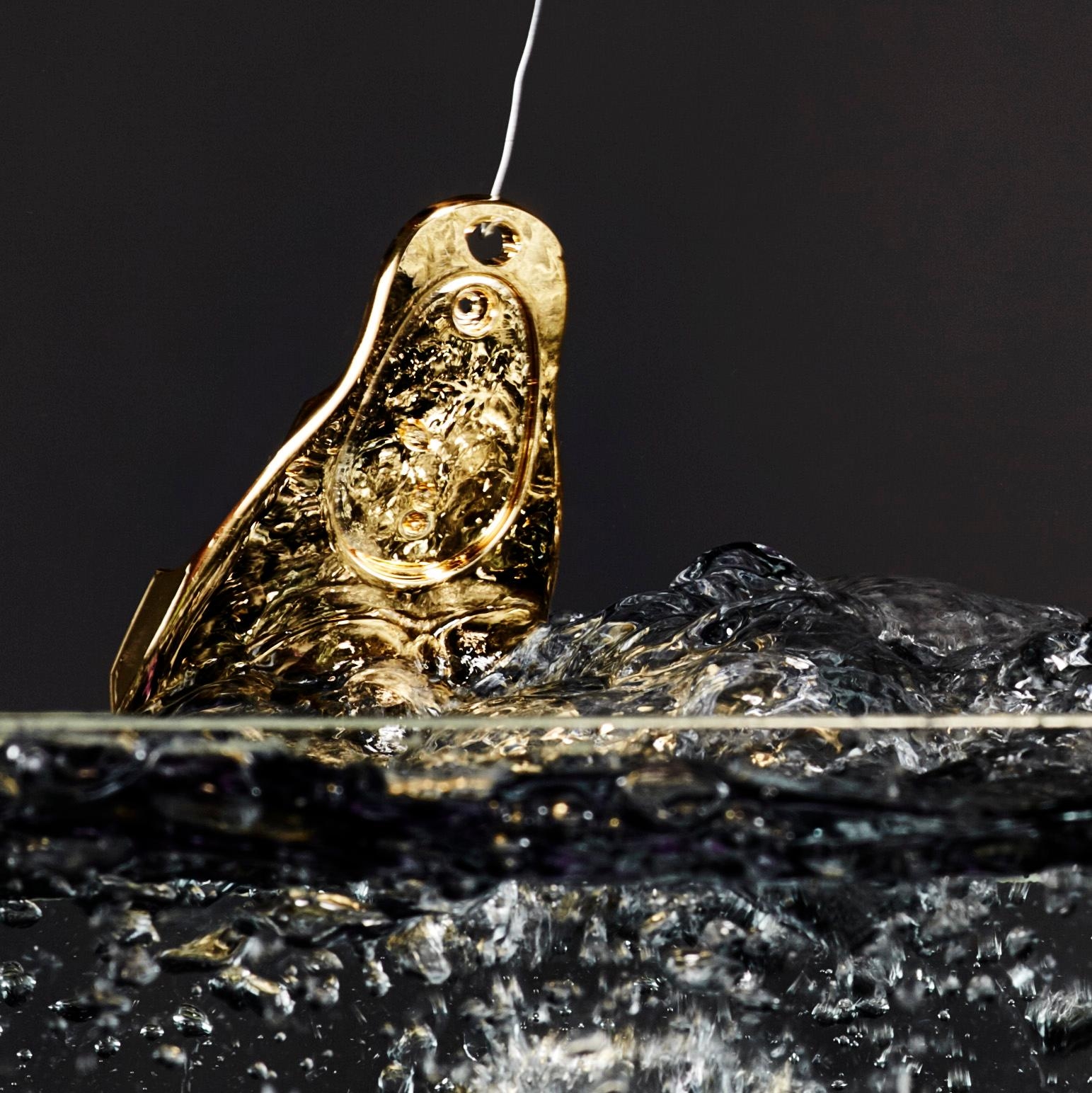 Panasonic ER-1611 Profi Haarschneider gold