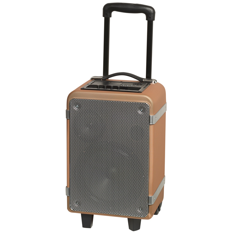 Denver TSP-150 Trolley Lautsprecher