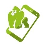 Cyrus CS22 XA Outdoor Smartphone