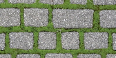 Kärcher WRE 4 Battery Set Unkrautentferner