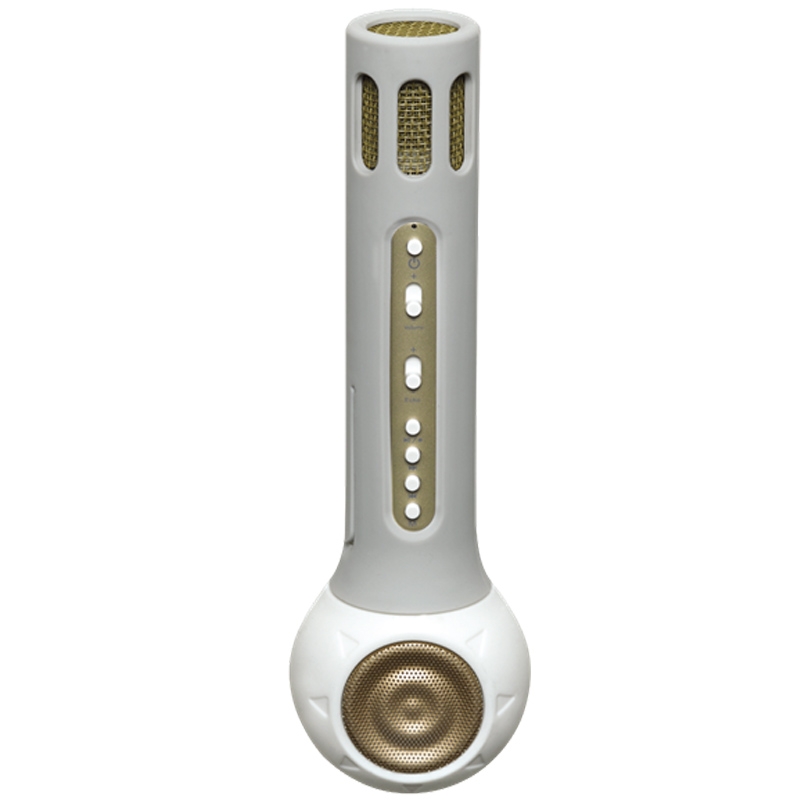 Denver KMS-10 Karaoke Mikrofon mit Lautsprecher weiß