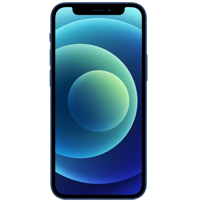 Apple iPhone 12 mini 256GB Smartphone blau