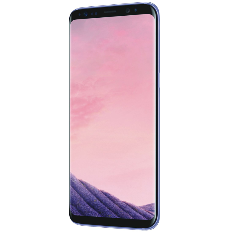 Samsung Galaxy S8+ (G955F) grau Smartphone