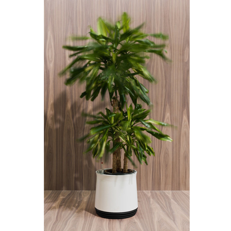 AIRY Pot Blumentopf Luftreinigungssystem in schneeweiß (Black Jack - schwarz)