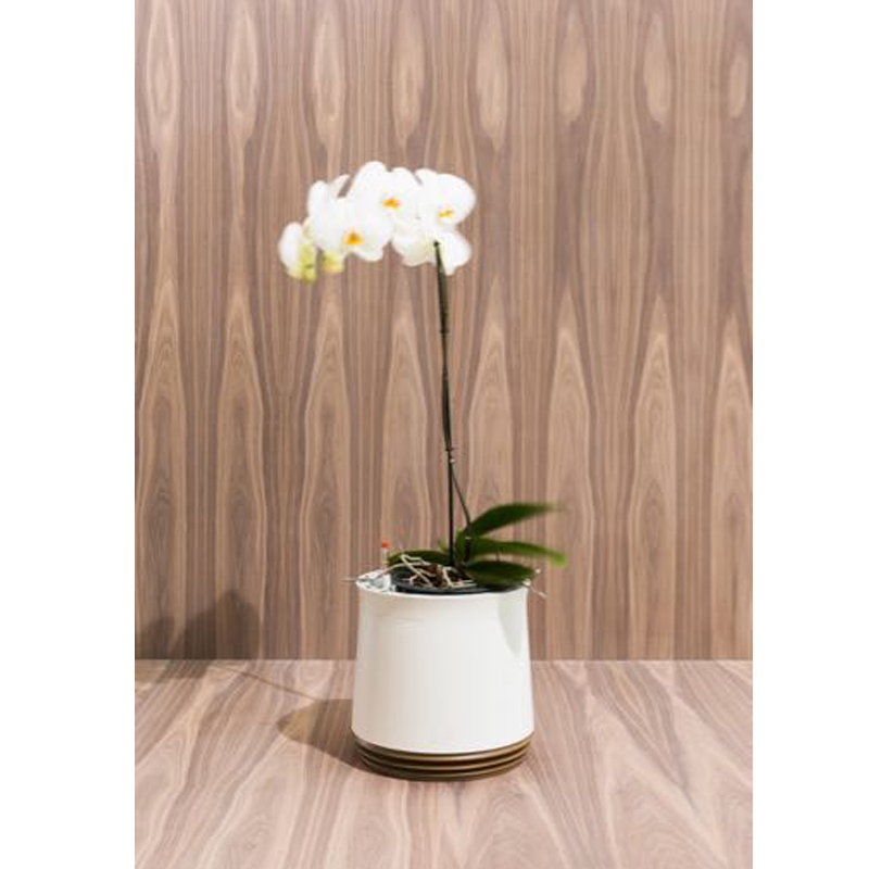 AIRY Pot Blumentopf Luftreinigungssystem in schneeweiß (Cappuccino - braun)