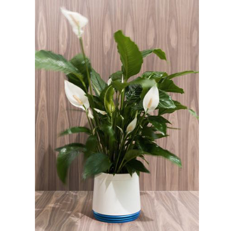 AIRY Pot Blumentopf Luftreinigungssystem in schneeweiß (Space Blue - blau)