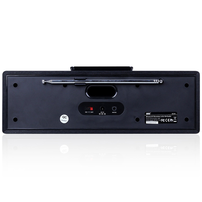 August SE50 30W Bluetooth Lautsprecher mit UKW Radio schwarz