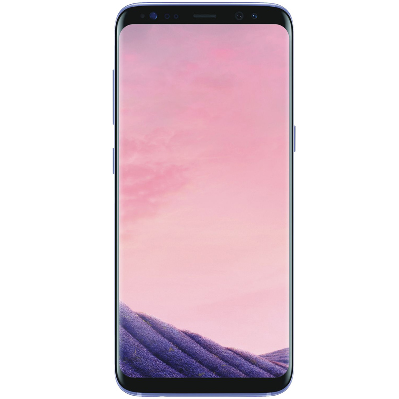 Samsung Galaxy S8+ (G955F) grau Smartphone