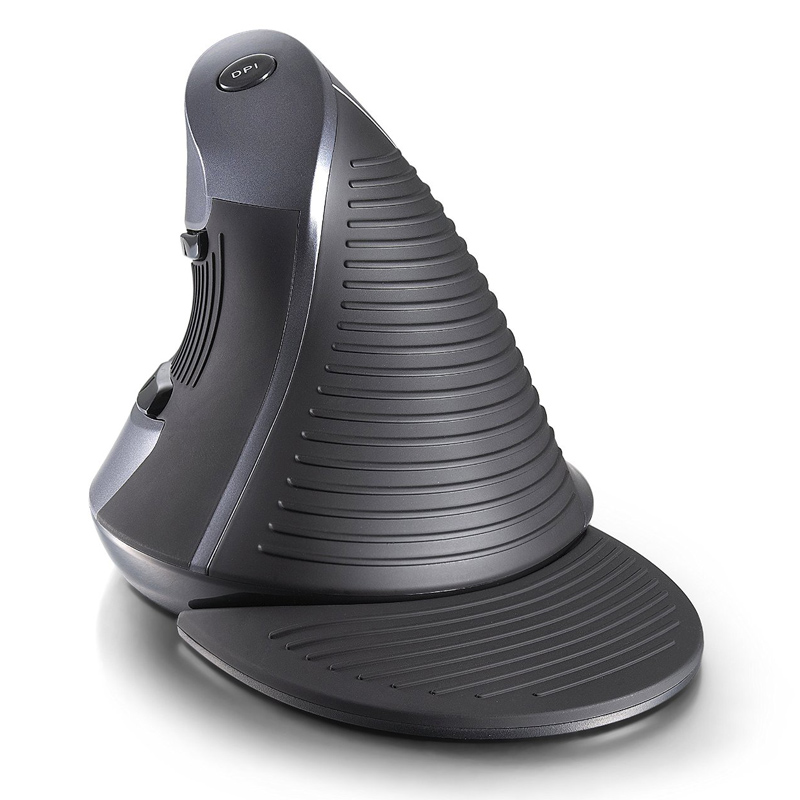 Delux M618GL vertical wireless Maus