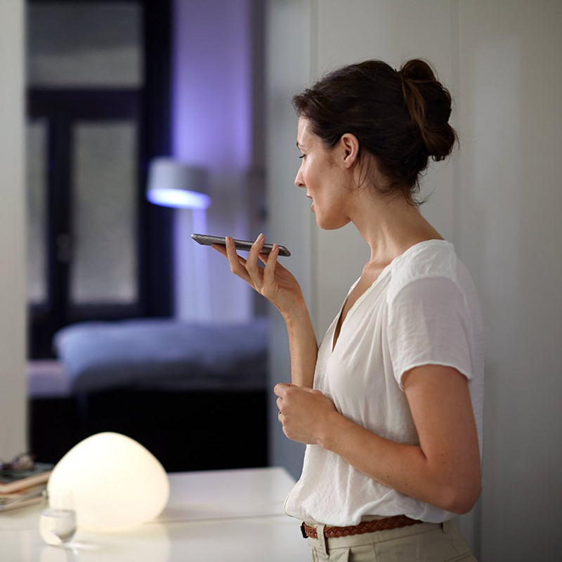 Philips Hue Zubehör Bridge 3W