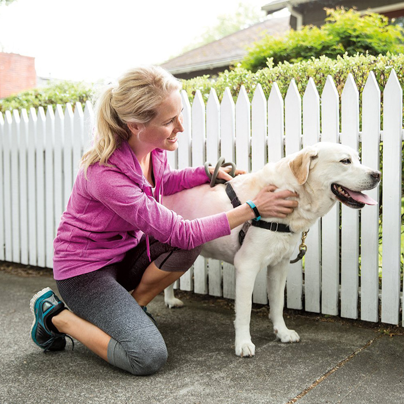 Fitbit Fitness Armband Alta Gr. S türkis Ausstellungsgerät