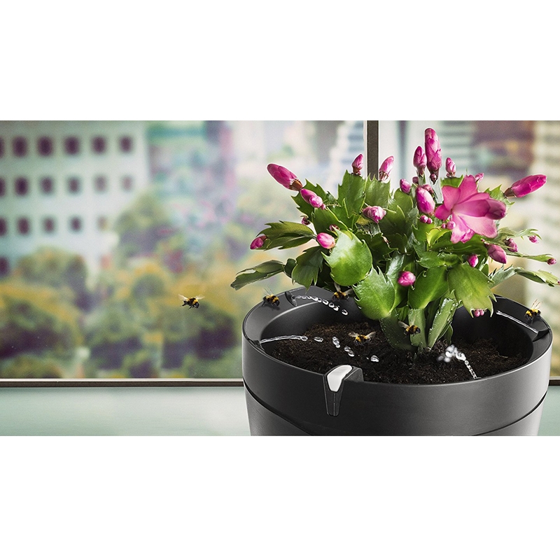 Parrot Pot smarter Bewässerungstopf schwarz