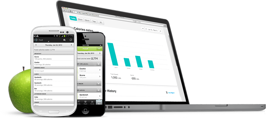 FitBit Aria digitale WiFi Personenwaage black