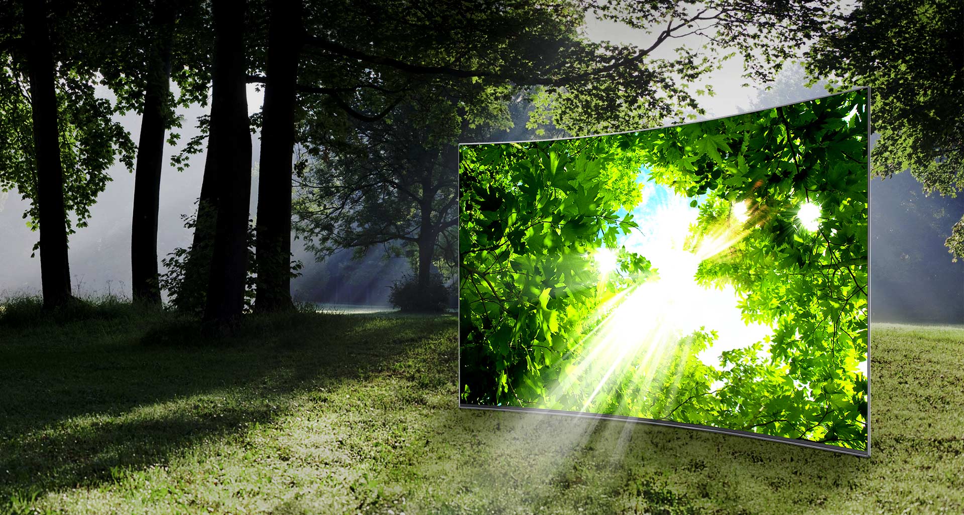 Samsung UE43KU6649UXZG 109cm (43 Zoll) LED-Curved-4K-TV