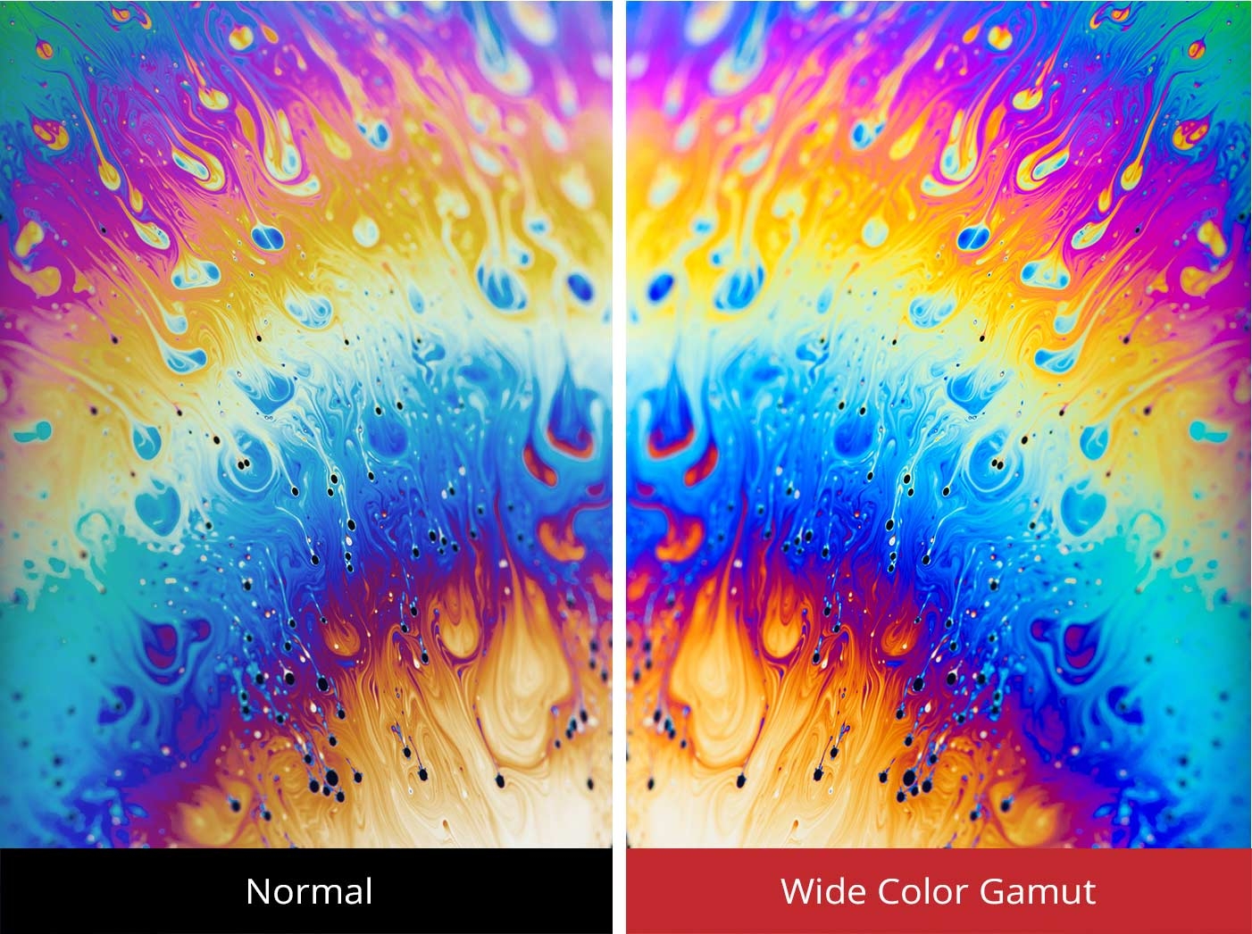 ViewSonic VX2758-PC-MH 68,5cm (27 Zoll) Curved Gaming Monitor