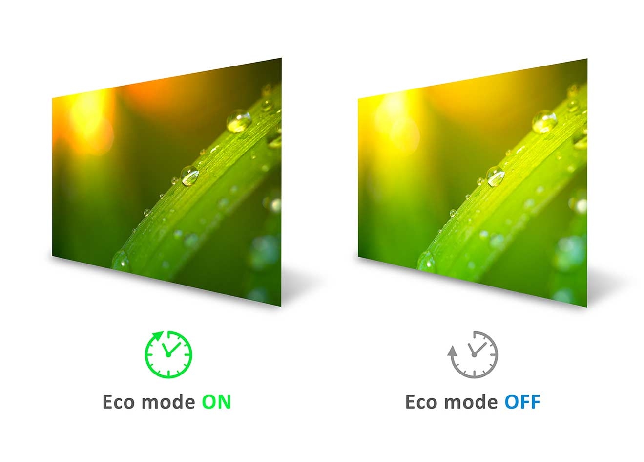 ViewSonic VX2758-2KP-MHD 68,5cm (27 Zoll) Gaming Monitor