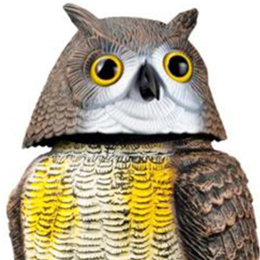 Florissa Wind Wackel Eule