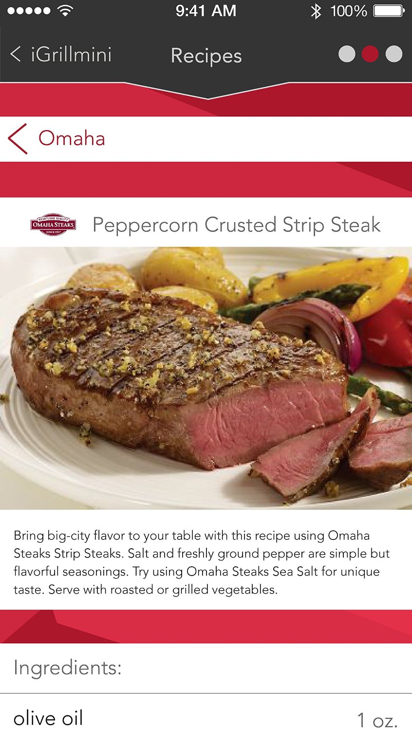 iGrill 2 Pro Meat Probe Zusätzlicher Fleisch-Messfühler