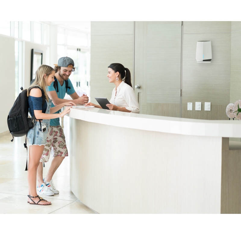 Netgear SXS80 WLAN-Router