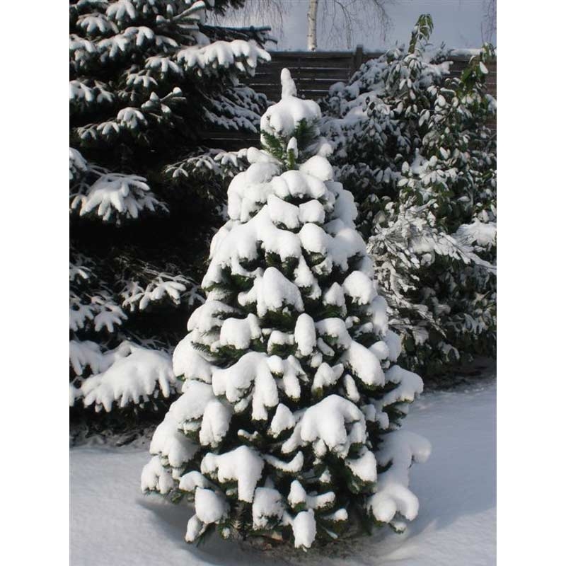 RS Trade HXT 1101 180cm künstlicher PVC Weihnachtsbaum