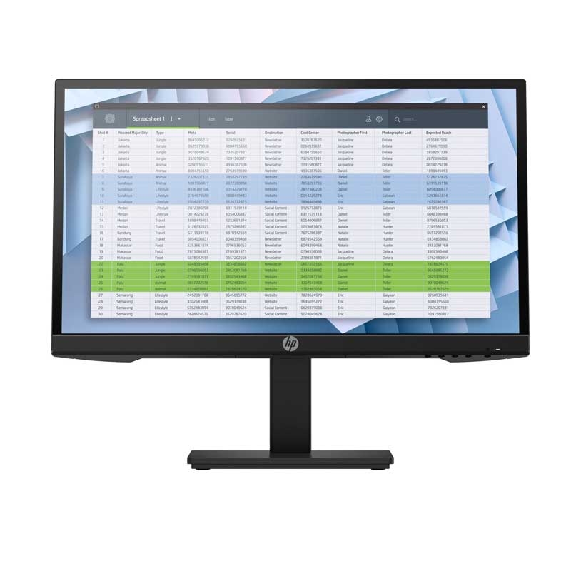 HP P22 G4 54,6 cm (21,5 Zoll) LED-Monitor