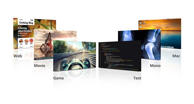 Viewsonic VG2439SMH-2 59,9 cm (24 Zoll) Full-HD Business Monitor